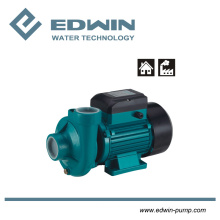 Centrifugal Booster Garden Water Supply Pump